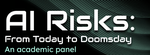 Academic Panel on AI Risks